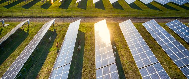 Solar farm at golden hour