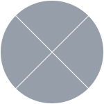 A gray circle with four lines on it.